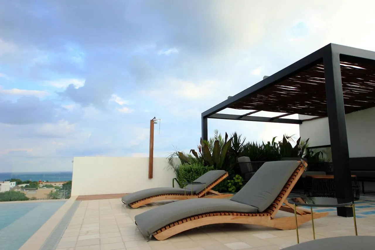 Spacious Studio, Amazing Rooftop With Sea View 신데 델 카르멘 아파트